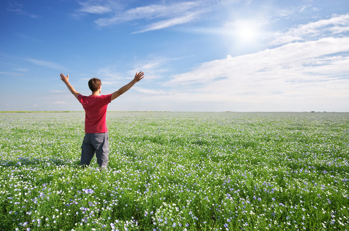 Man in green meadow.